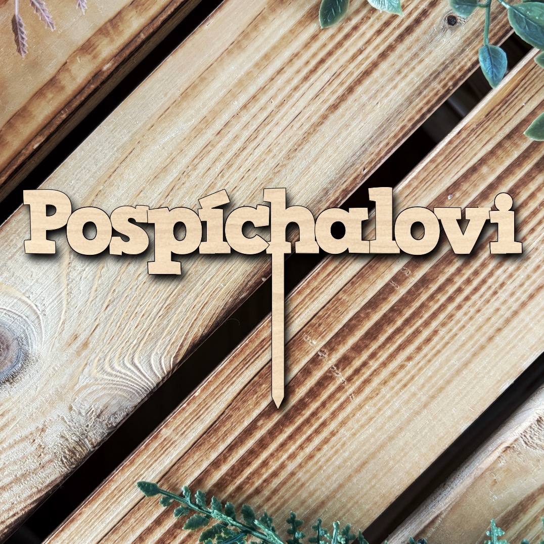 Zápich do dortu - Příjmení novomanželů