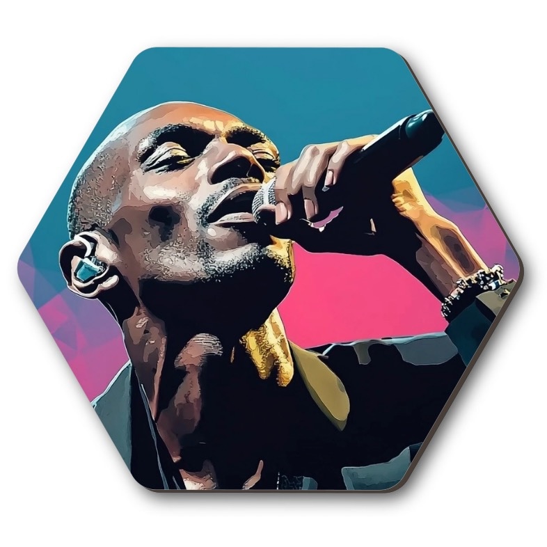 Obraz - Maxi Jazz (Faithless)