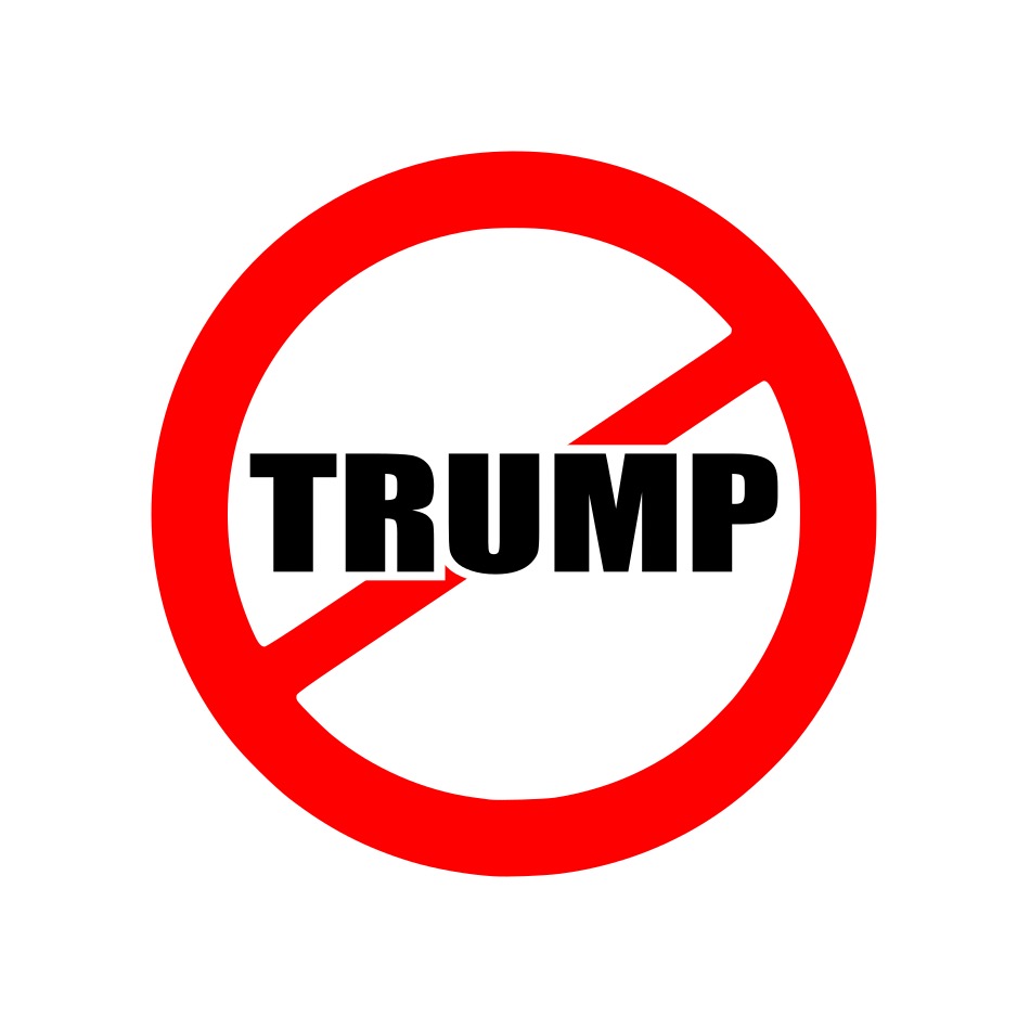 Vinylová samolepka - Anti Trump