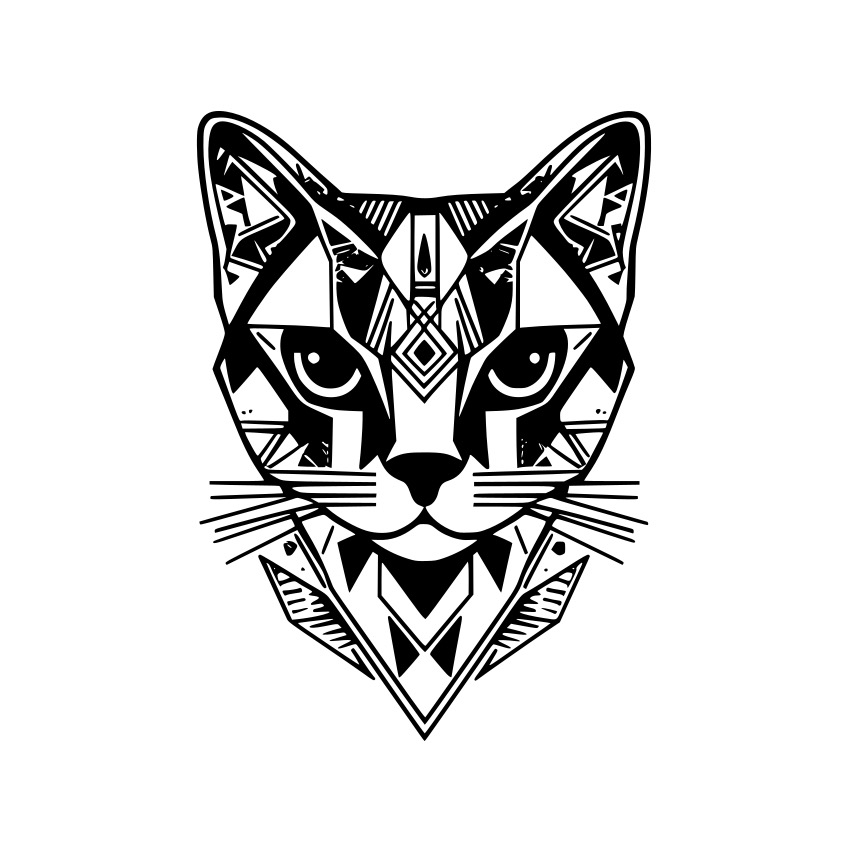 Kočka