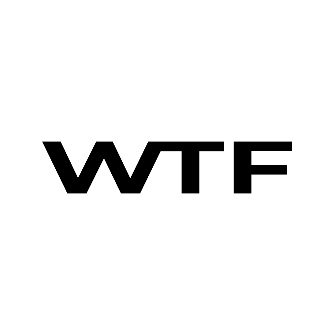 Samolepka na auto - WTF