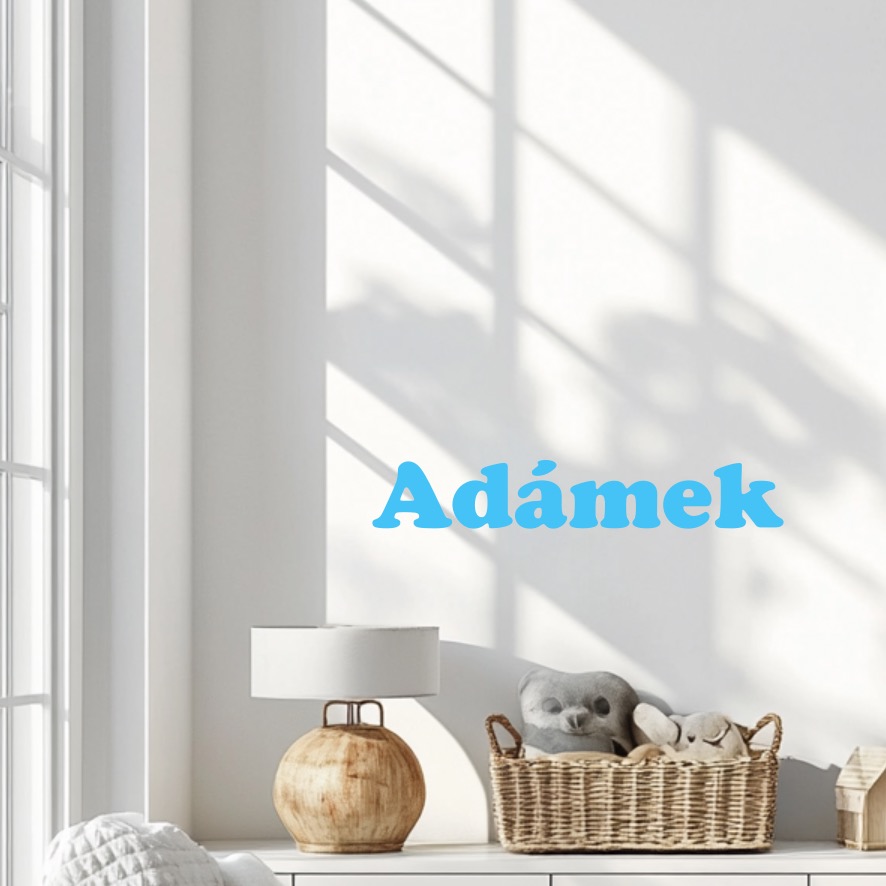 Vinylová samolepka - Jméno na přání