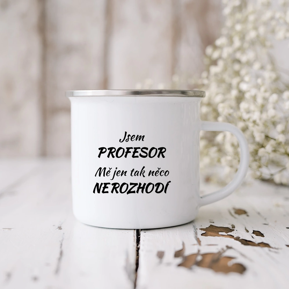 Plecháček - Jsem profesor