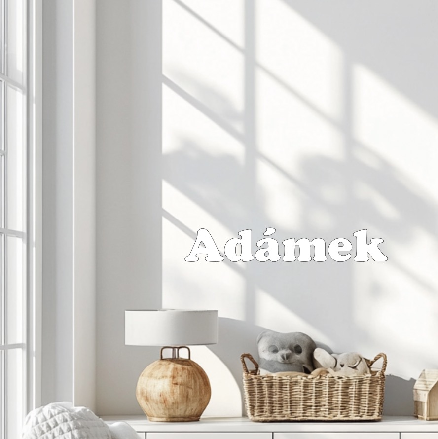 Vinylová samolepka - Jméno na přání