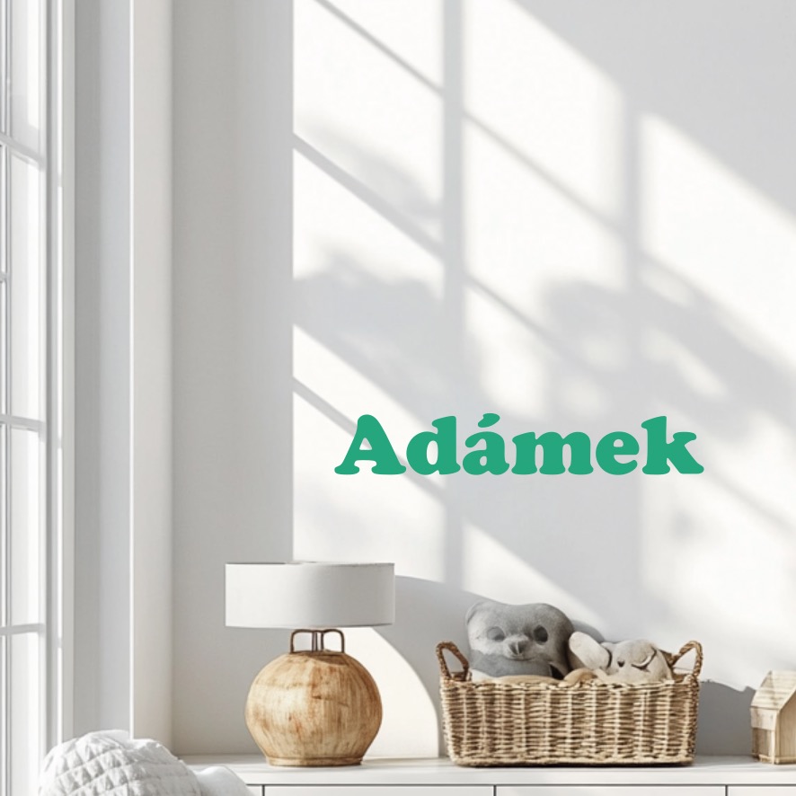 Vinylová samolepka - Jméno na přání